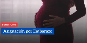 Asignación-por-Embarazo